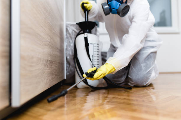 Best Affordable Pest Control Services  in Claremont, NH