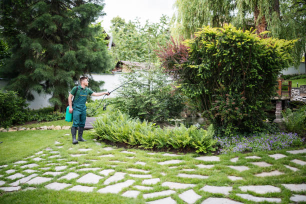 Reliable Claremont, NH Pest Control Solutions