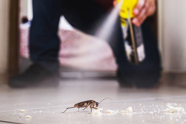Best Wildlife Control Services  in Claremont, NH