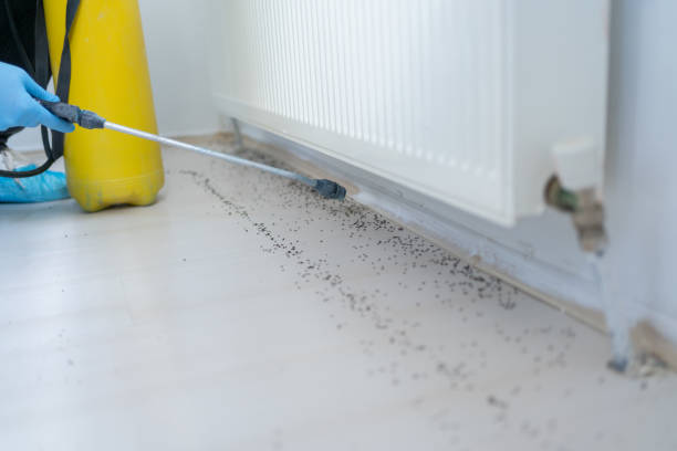 Best Emergency Pest Control  in Claremont, NH
