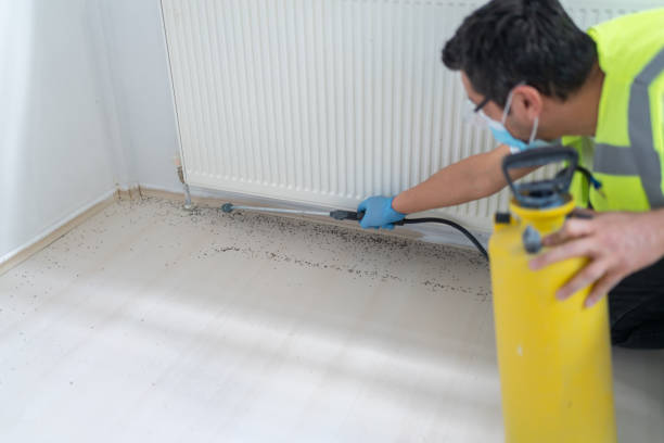 Best Commercial Pest Control Services  in Claremont, NH
