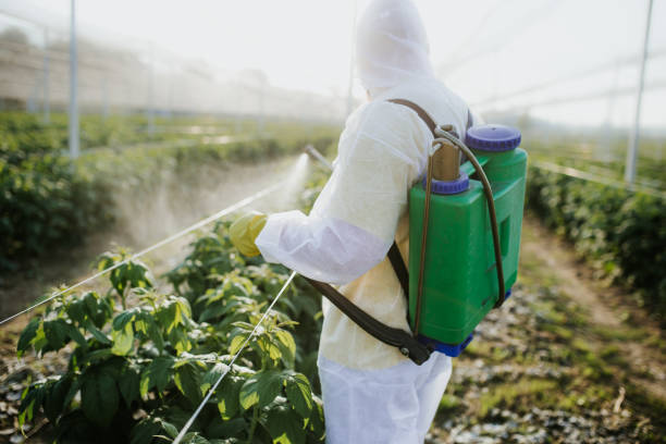 Pest Prevention Services in Claremont, NH